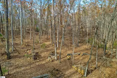 45 Danna View Court, Marietta, SC 29661 - Photo 20
