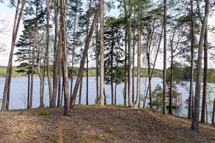 390 Peninsula Rdg, Sunset, SC 29685 - Photo 24