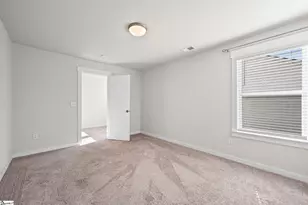 329 Alyssa Lndg Dr, Fountain Inn, SC 29644 - Photo 20