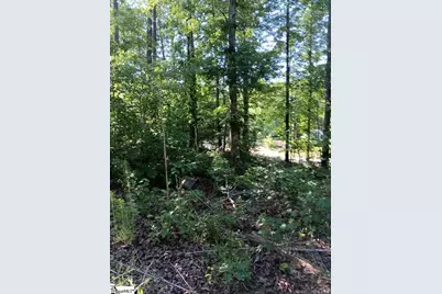 133 Sunny Lane, Pickens, SC 29671 - Photo 6