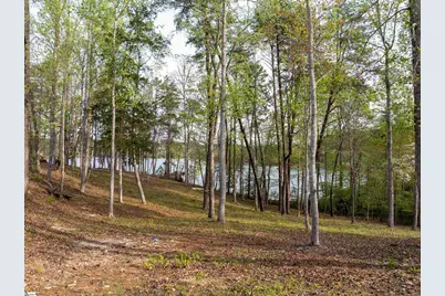 390 Peninsula Ridge, Sunset, SC 29685 - Photo 28