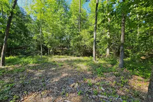 334 Summerall Dr, Anderson, SC 29621 - Photo 28