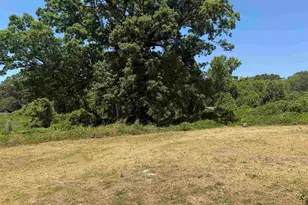 281 Old Petrie Rd, Spartanburg, SC 29302 - Photo 4