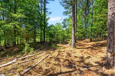 0 Gowdeysville Road #Lots 1 & 2, Gaffney, SC 29340 - Photo 4