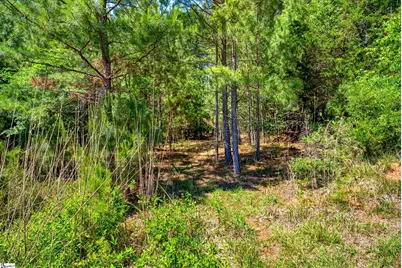 0 Gowdeysville Road #Lots 1 & 2, Gaffney, SC 29340 - Photo 6