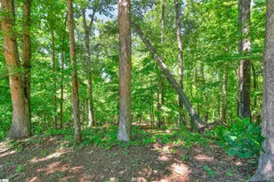 2561 Whitestone Rd, Spartanburg, SC 29302 - Photo 22