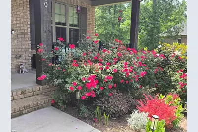 10 Colonel Storrs Court, Greer, SC 29650 - Photo 20