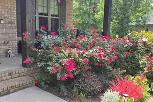 10 Colonel Storrs Ct, Greer, SC 29650 - Photo 20