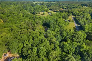 217 Old River Rd, Pelzer, SC 29669 - Photo 26