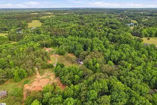 224 2 Notch Trail, Easley, SC 29642 - Photo 48