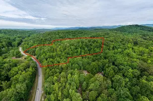 00 Hwy 11, Travelers Rest, SC 29690 - Photo 1