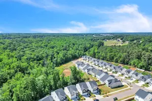 12 Limestone Wy, Greenville, SC 29607 - Photo 28
