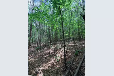 280 Sparks Lane, Pickens, SC 29671 - Photo 4