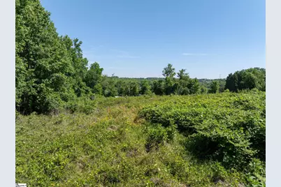 0 Ben Hurt Road, Lyman, SC 29365 - Photo 8