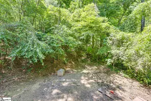 145 Hidden Valley Rd, Marietta, SC 29661 - Photo 28