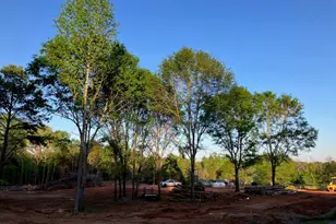 515 Ritchie Rd, Fountain Inn, SC 29644 - Photo 22