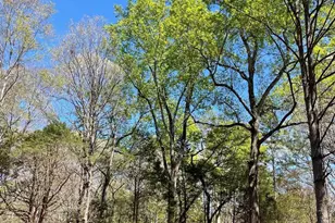 515 Ritchie Rd, Fountain Inn, SC 29644 - Photo 28