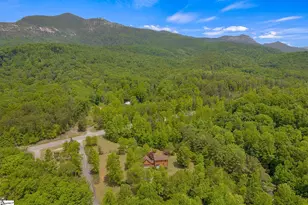 101 Pinnacle Falls, Pickens, SC 29671 - Photo 40