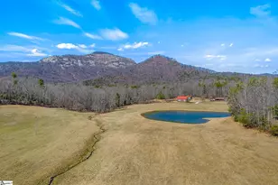 101 Pinnacle Falls, Pickens, SC 29671 - Photo 42
