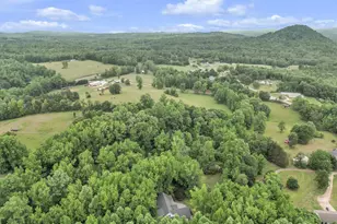 146 Butternut Dr, Pickens, SC 29671 - Photo 34