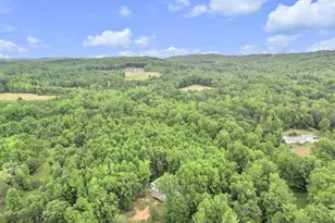 146 Butternut Dr, Pickens, SC 29671 - Photo 36