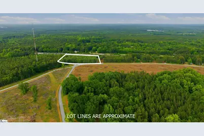 O Neighbors Road, Clinton, SC 29325 - Photo 6