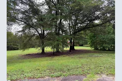 125 Terry Road, Fountain Inn, SC 29644 - Photo 12