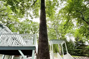 150 Orchard Dr, Inman, SC 29359 - Photo 42