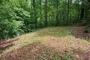 230 Enoree Rd, Travelers Rest, SC 29690 - Photo 16