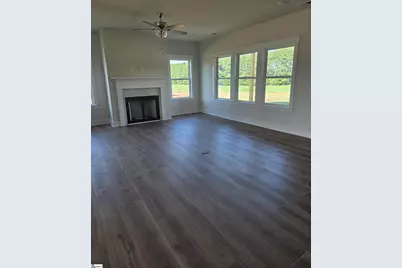 310 Richey Road, Pelzer, SC 29669 - Photo 8