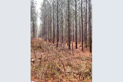 00 Columbia Road, Edgefield, SC 29832 - Photo 8