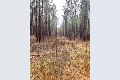 00 Columbia Road, Edgefield, SC 29832 - Photo 6
