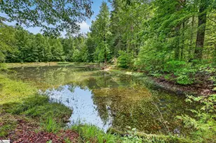 1310 Camp Creek Rd, Taylors, SC 29687 - Photo 4