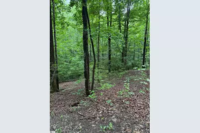 125 Cottage Side Trail, Travelers Rest, SC 29690 - Photo 6