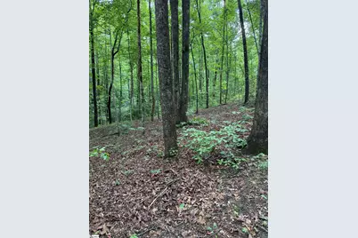 125 Cottage Side Trail, Travelers Rest, SC 29690 - Photo 8