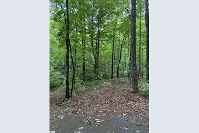 125 Cottage Side Trail, Travelers Rest, SC 29690 - Photo 4