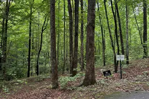 125 Cottage Side Trail, Travelers Rest, SC 29690 - Photo 1