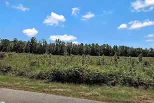 00 Brown Rd, Iva, SC 29684 - Photo 1