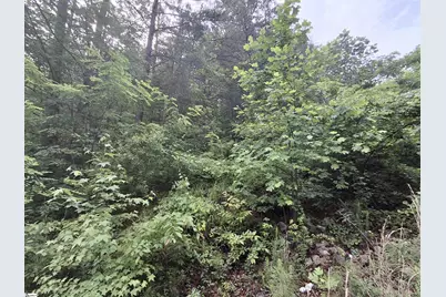 113 High Top Drive, Pickens, SC 29671 - Photo 6