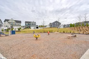773 Lady Fern Dr, Woodruff, SC 29388 - Photo 42