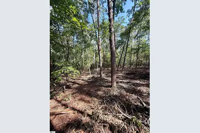 0 Thompson Road, Greer, SC 29651 - Photo 16
