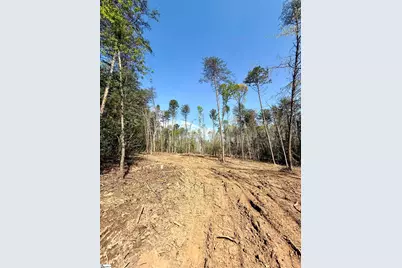 0 Thompson Road, Greer, SC 29651 - Photo 28