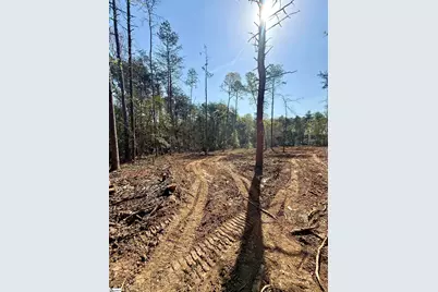 0 Thompson Road, Greer, SC 29651 - Photo 30