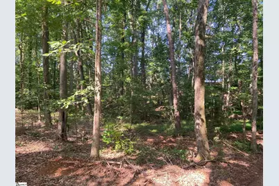 472 Knickerbocker Estate Road, Fountain Inn, SC 29644 - Photo 24