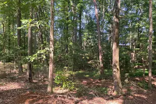 472 Knickerbocker Estate Rd, Fountain Inn, SC 29644 - Photo 24