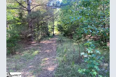 00 Cook Road, Gray Court, SC 29645 - Photo 8