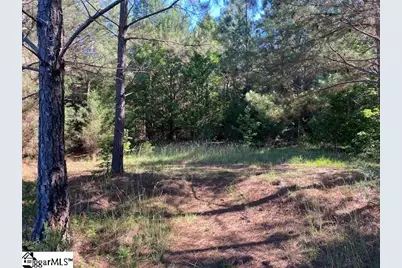 00 Cook Road, Gray Court, SC 29645 - Photo 4