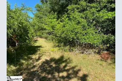00 Cook Road, Gray Court, SC 29645 - Photo 10