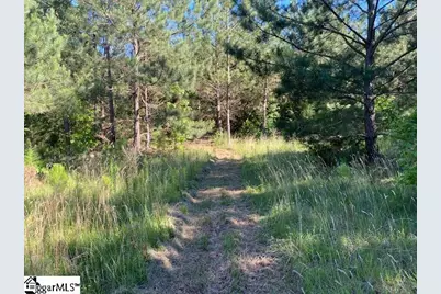 00 Cook Road, Gray Court, SC 29645 - Photo 6