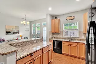 423 Christiane Way, Greenville, SC 29607 - Photo 20